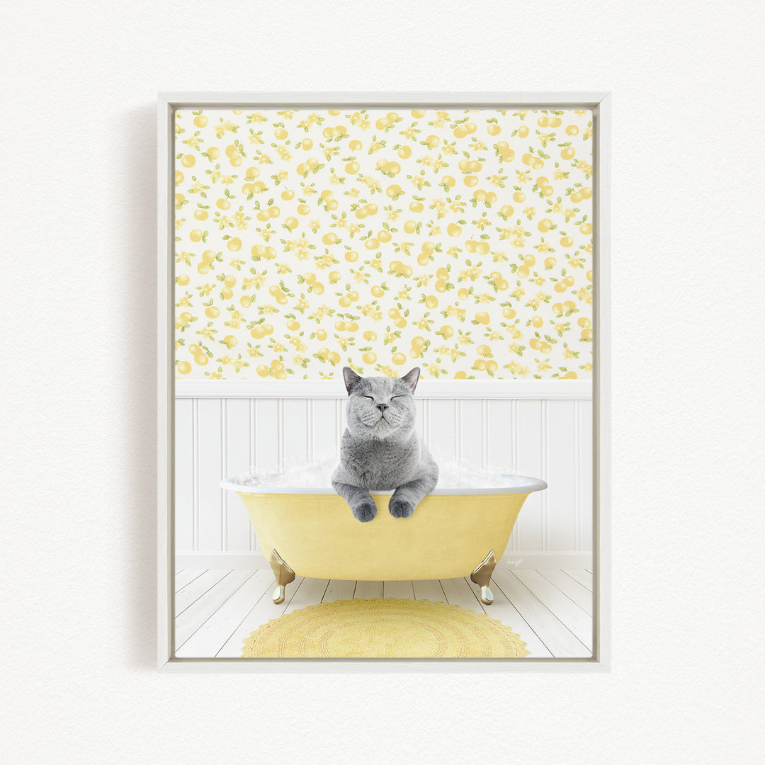 A gray cat sitting in a yellow bathtub filled with bubbles, with a yellow floral wallpaper in the background.