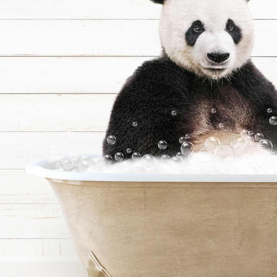 a panda bear sitting in a bathtub with bubbles