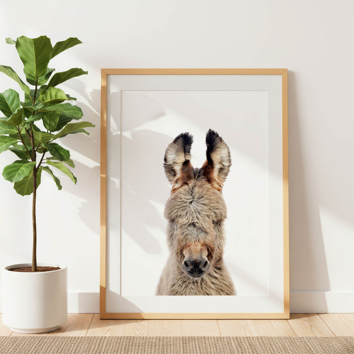 a donkey with a picture frame containing the donkey's face.