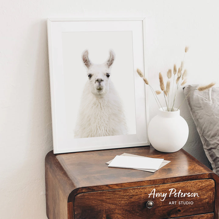 a framed photo of a white llama on a wooden dresser, with a white vase of dried flowers and a note on the dresser.