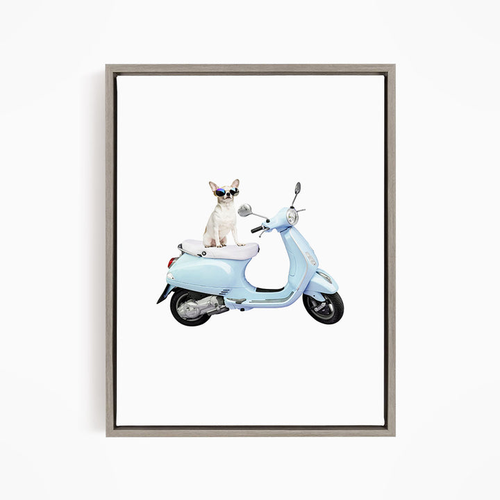 A small white dog wearing sunglasses is sitting on a light blue scooter.