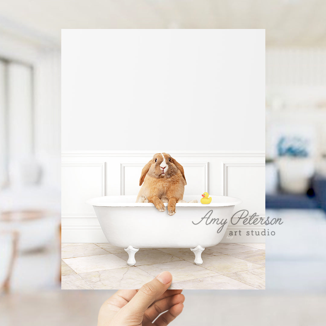 Pudgy Bunny in Modern Bath