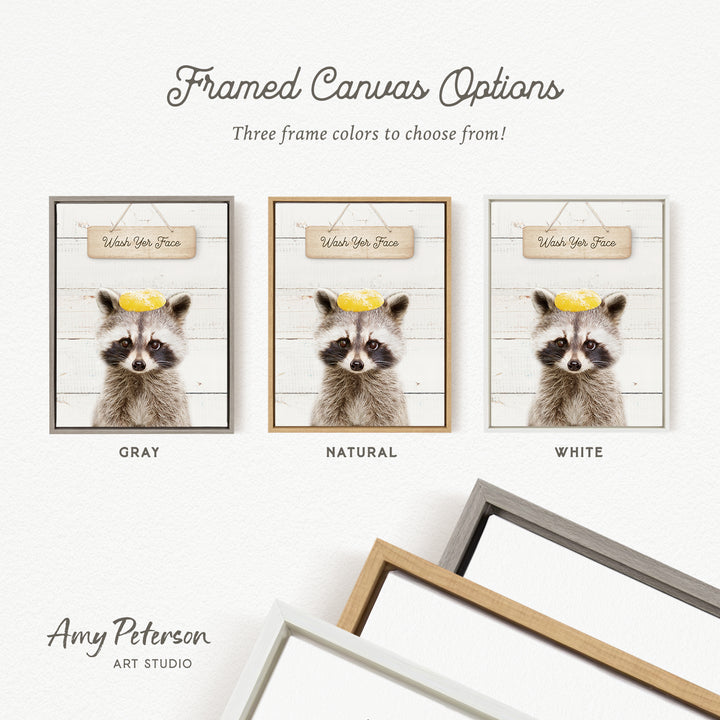 three framed canvas options for a raccoon photo, each with a different frame color: gray, natural, and white.