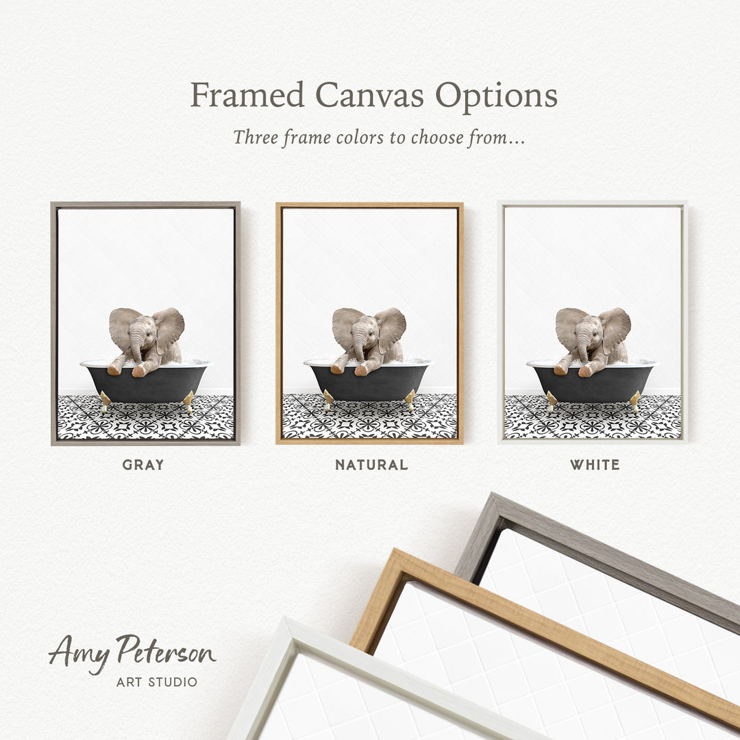 three framed canvas options, each featuring a different color: gray, natural, and white. The text above the images reads " framed Canvas Options" and "Three frame colors to choose from...". The bottom of the image includes the text " Amy Peterson ART STUDIO".