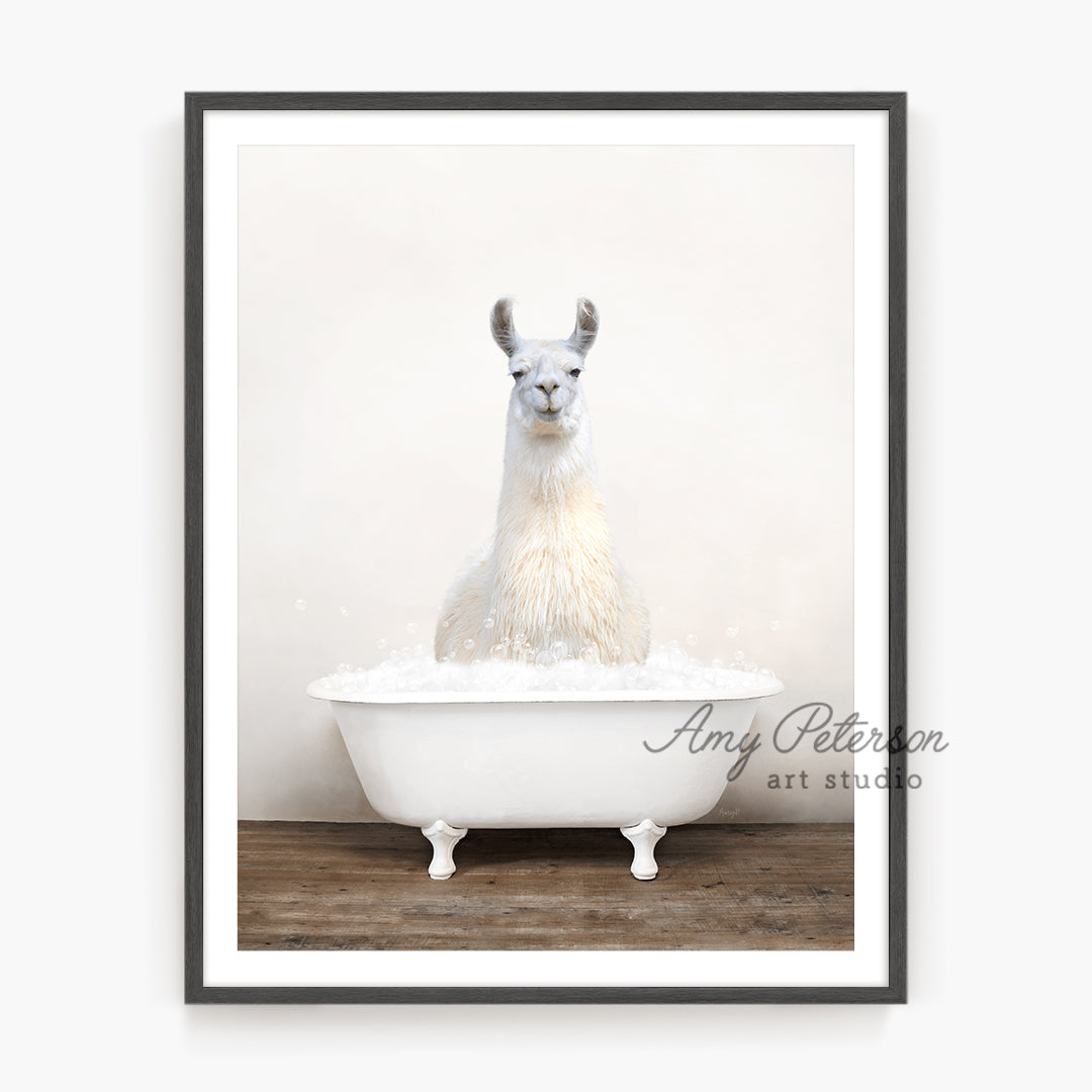 a llama sitting in a bathtub with foam on it