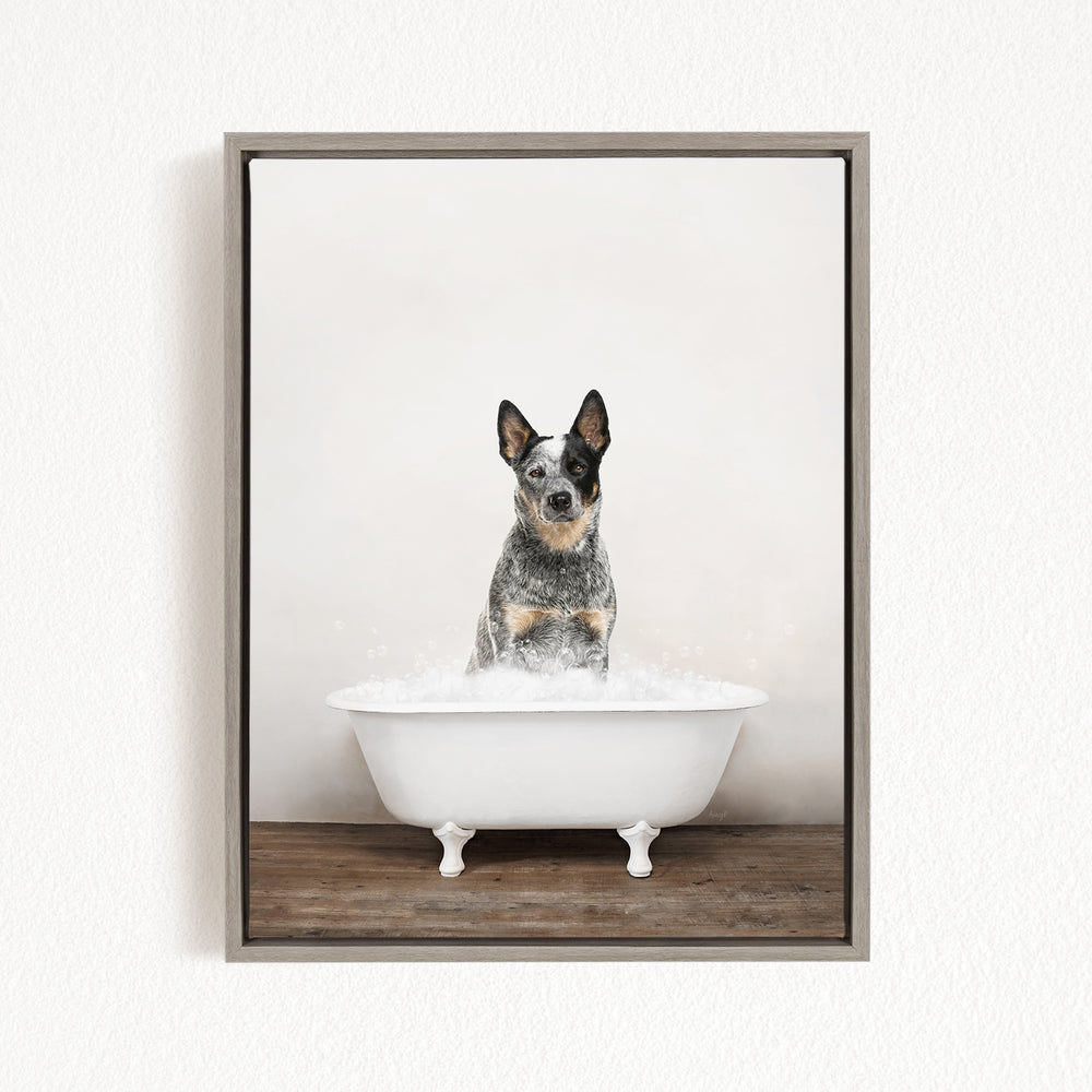 A black and white dog sitting in a white bathtub filled with water, looking directly at the camera.