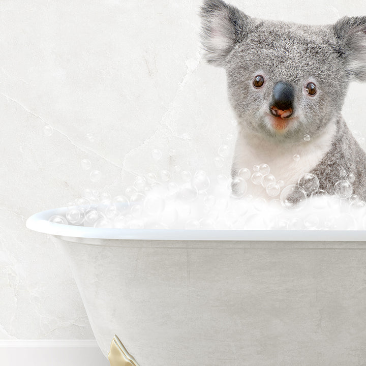 a koala in a bathtub with bubbles around it