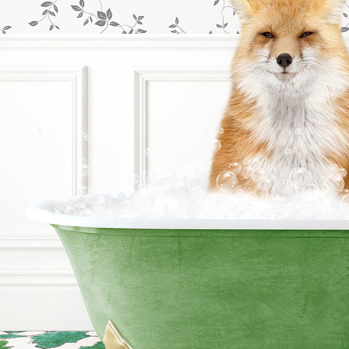 a red fox sitting in a green bath tub