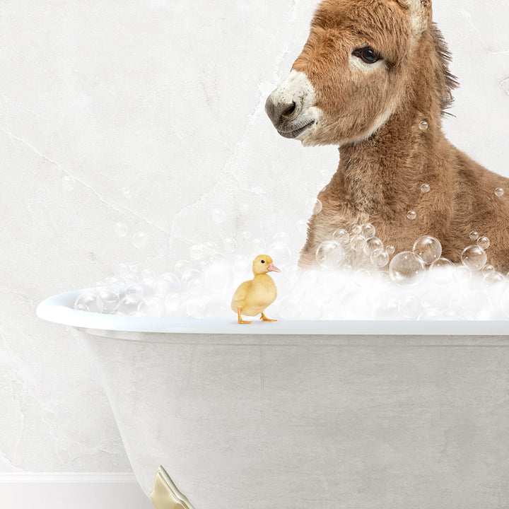 a baby donkey in a bathtub with bubbles and a rubber duck