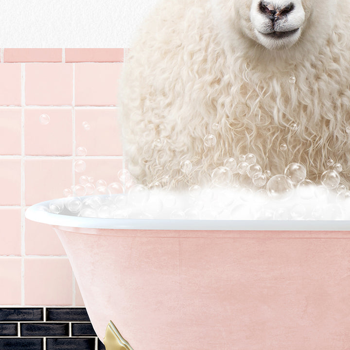 a sheep sitting in a bathtub filled with bubbles