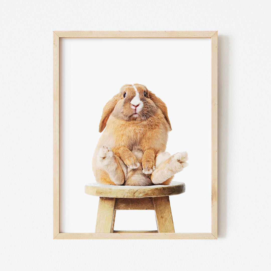 a brown rabbit sitting on top of a wooden stool