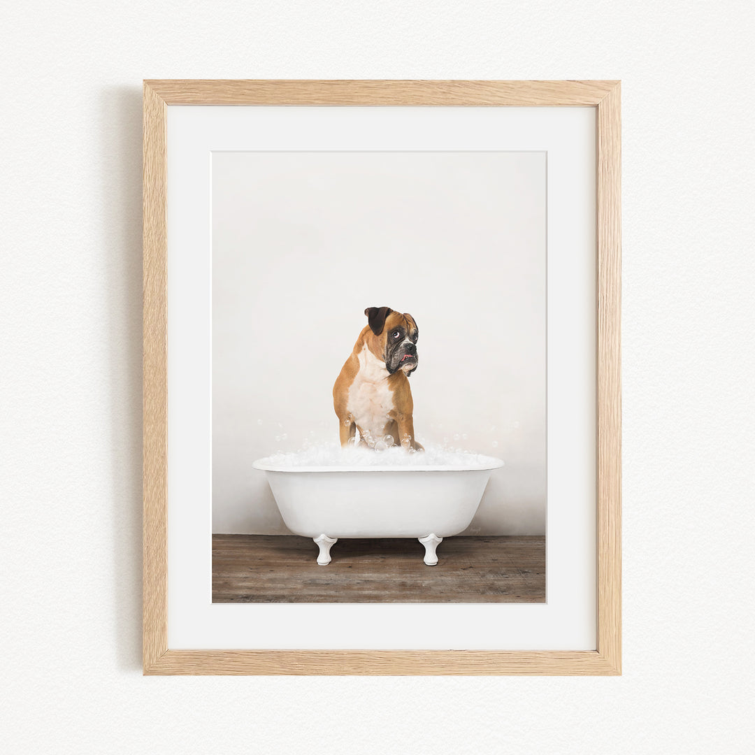 A brown and white dog sitting in a white bathtub filled with bubbles, looking directly at the camera.