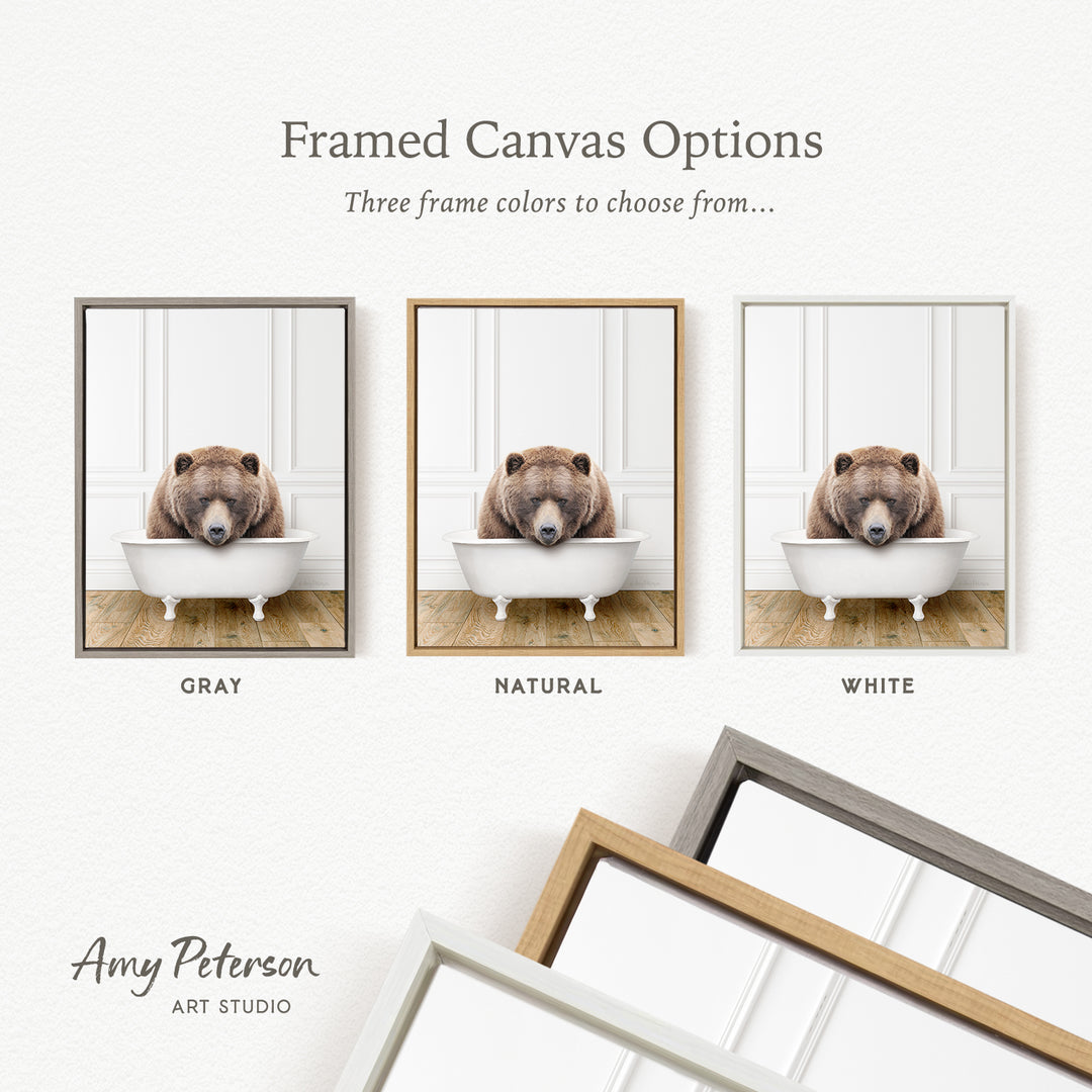 three framed canvas options, each featuring a bear sitting in a bathtub. The bear is depicted in different color schemes, including gray, natural, and white. The text above the images reads " framed Canvas Options" and "Three frame colors to choose from...". The bottom of the image includes the text " Amy Peterson ART STUDIO".