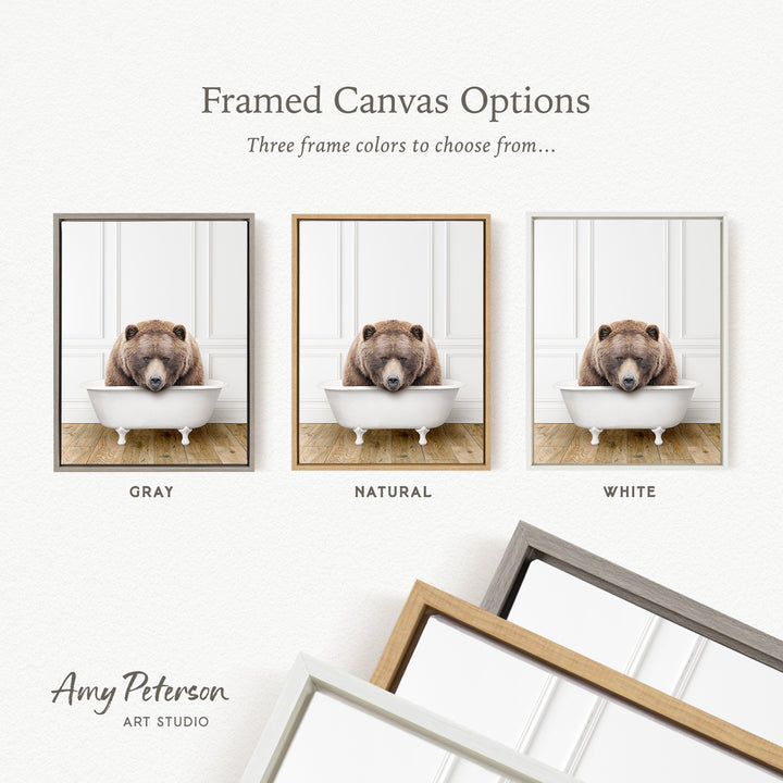 three framed canvas options, each featuring a bear sitting in a bathtub. The bear is depicted in different color schemes, including gray, natural, and white. The text above the images reads " framed Canvas Options" and "Three frame colors to choose from...". The bottom of the image includes the text " Amy Peterson ART STUDIO".