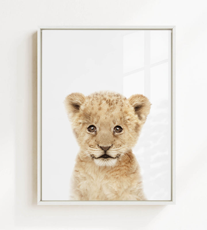 A young lion cub with large, expressive eyes and a curious expression is the focus of the image.