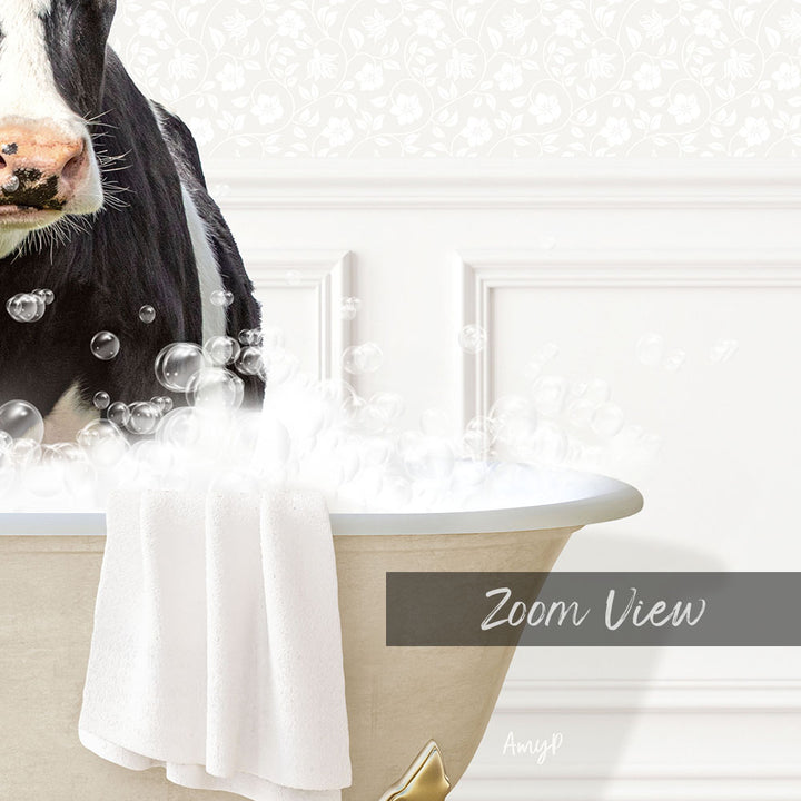 A black and white cow is sitting in a bathtub filled with bubbles, with the words "Zoom View" and "Ampl" visible in the image.