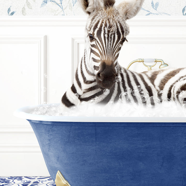 a baby zebra laying in a blue bath tub