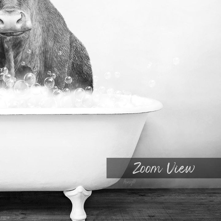 A black and white image of a dog sitting in a bathtub filled with bubbles, with the text "Zoom View" and "Amyl" written below the image.