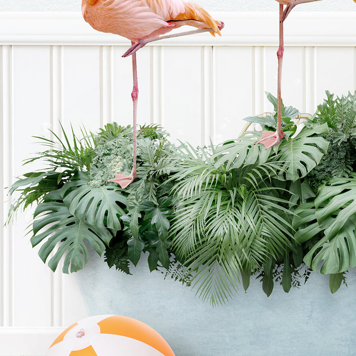 a flamingo standing on a planter with a beach ball in front of it