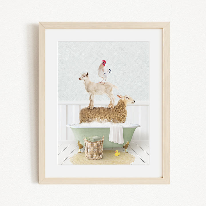 A framed image depicting a goat standing on a sheep's back while a rooster stands on top of a lamb in a bathtub.