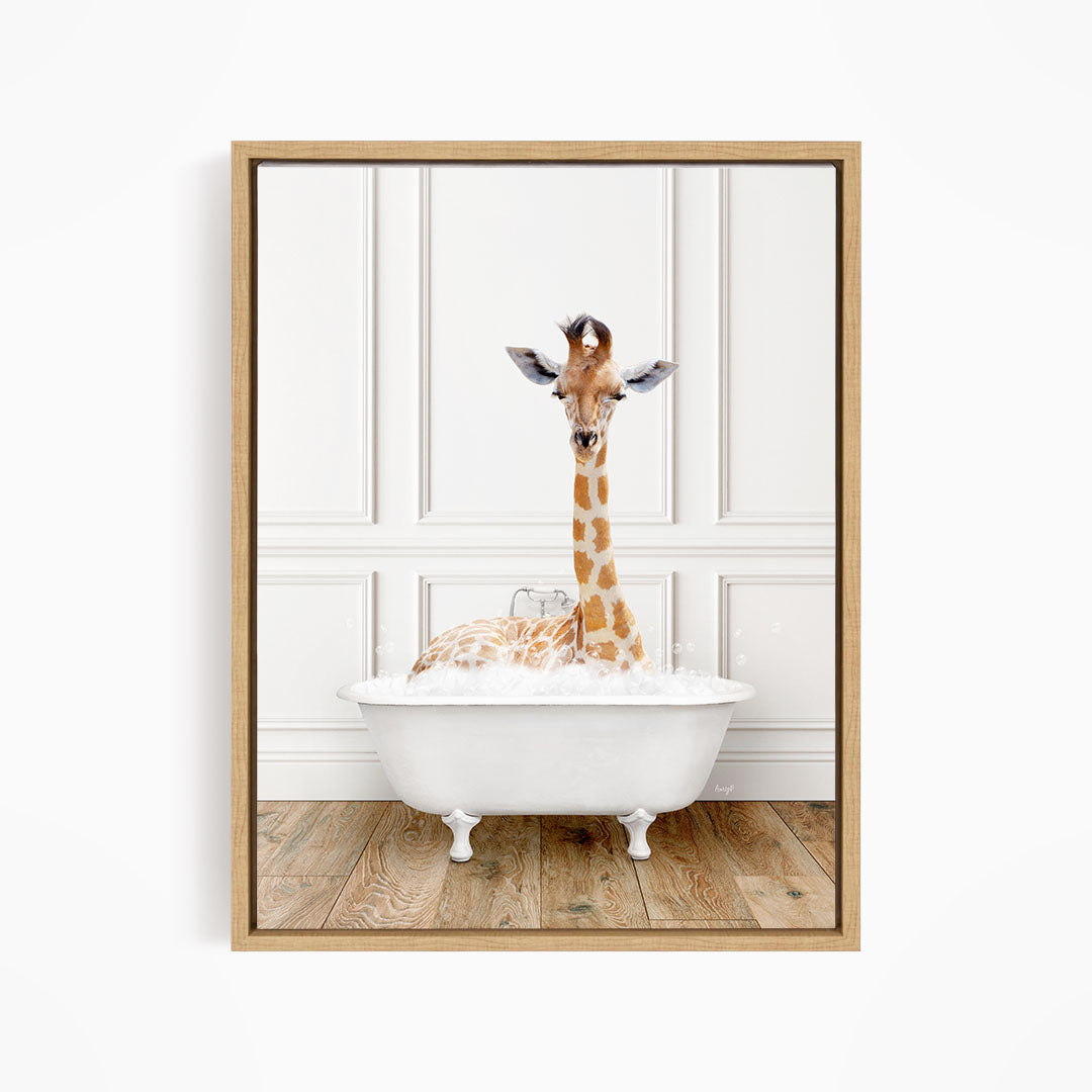 A giraffe is sitting in a white bathtub, appearing to enjoy the bath.