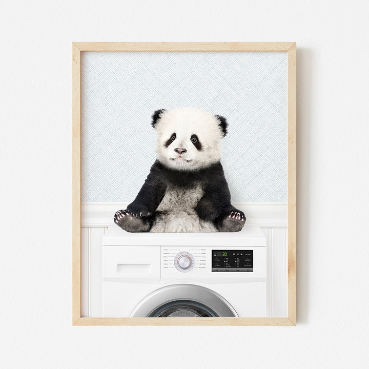 a panda bear sitting on top of a washing machine