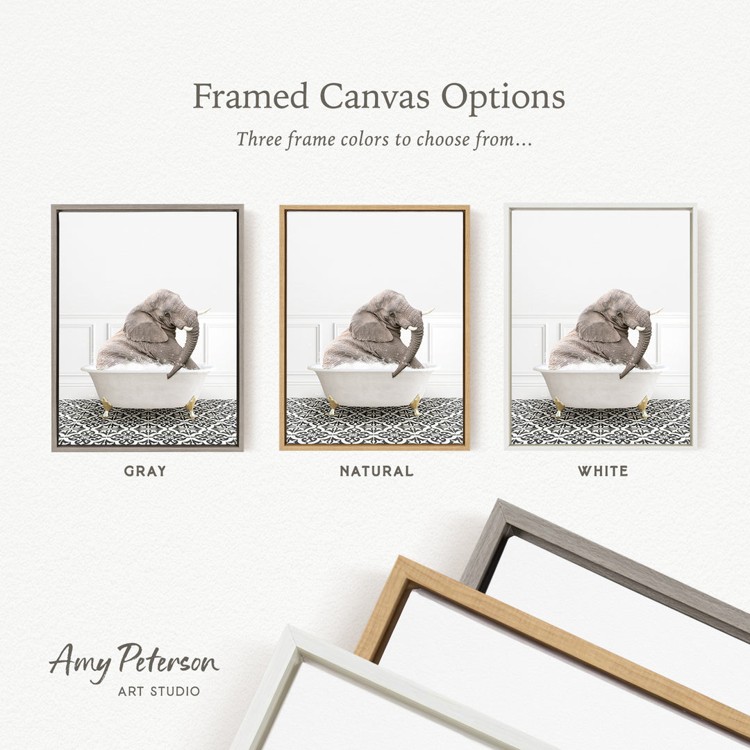 three framed canvas options, each featuring a different color: gray, natural, and white. The text above the images reads " framed Canvas Options" and "Three frame colors to choose from...". The bottom of the image includes the text " Amy Peterson ART STUDIO".