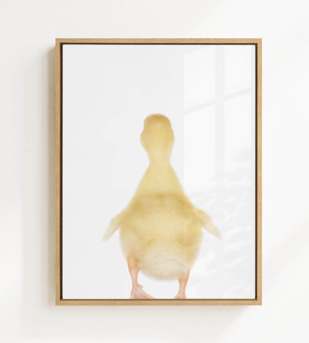 A framed image of a yellow duck standing on one leg against a white background.
