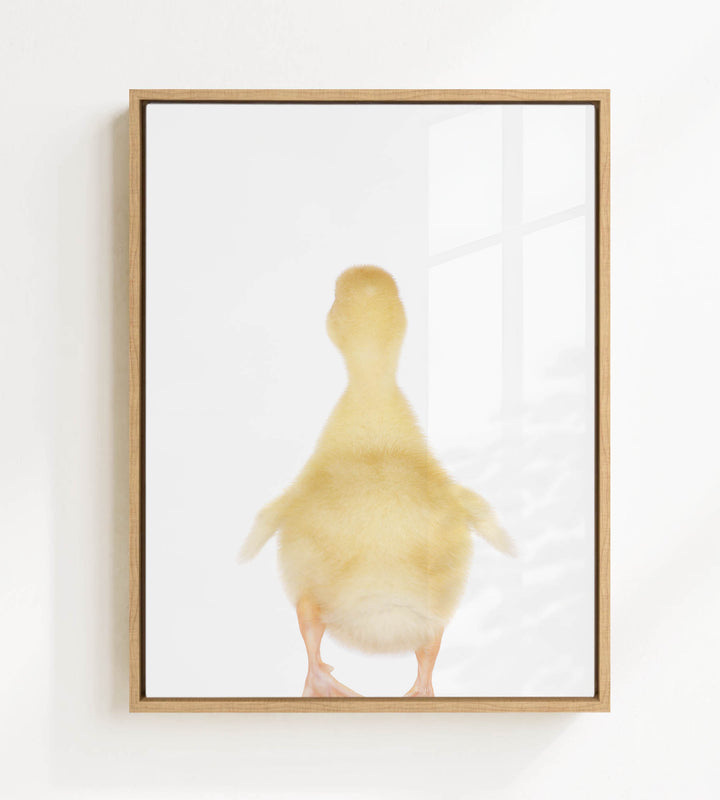 A framed image of a yellow duck standing on one leg against a white background.