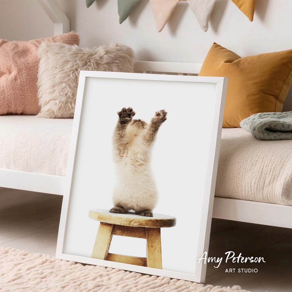 A framed image of a kitten sitting on a wooden stool, with its paws raised in the air.