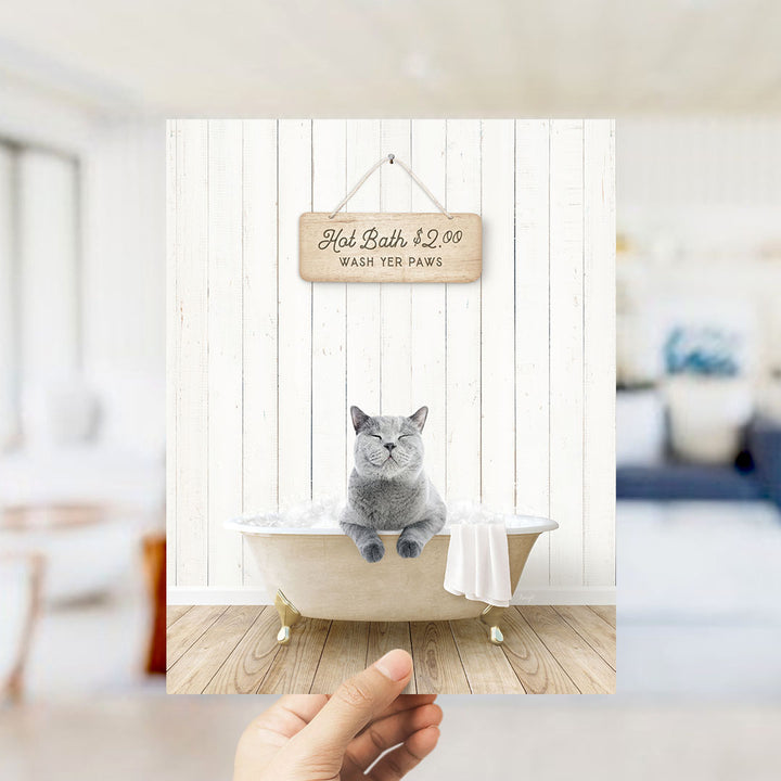 A gray cat sitting in a bathtub filled with bubbles, with a sign above it that says "Hot Bath $2.00 WASH YOUR Paws".