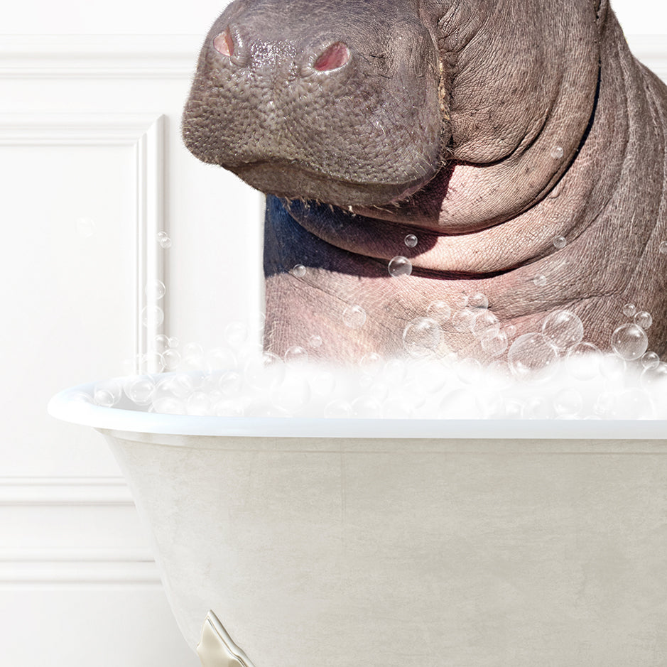 a hippopotamus sitting in a bathtub full of bubbles