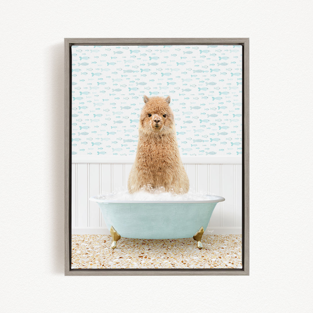 A fluffy brown dog sitting in a light blue bathtub filled with bubbles, with a patterned wall behind it.