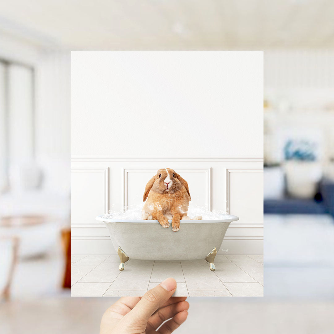 A hand holds up a framed image of a brown rabbit sitting in a bathtub filled with bubbles, looking up at the camera.
