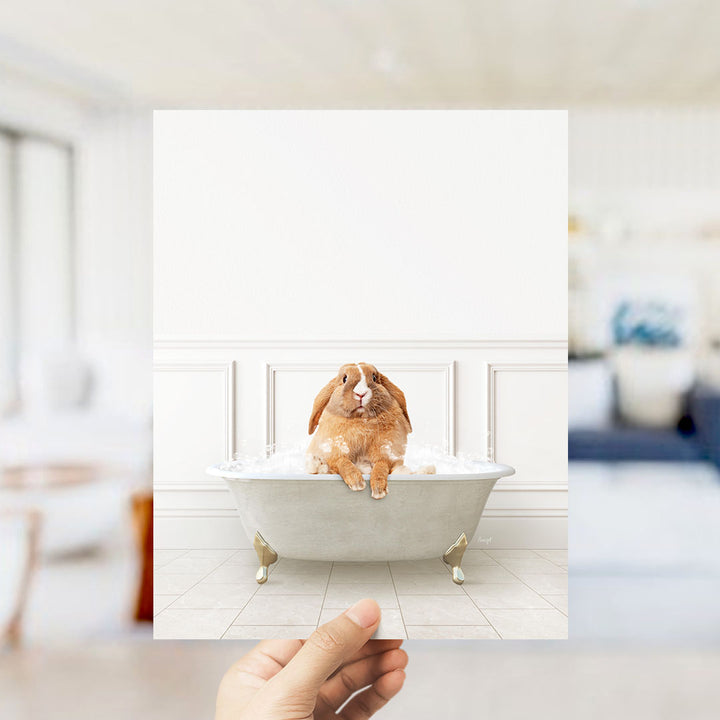 A hand holds up a framed image of a brown rabbit sitting in a bathtub filled with bubbles, looking up at the camera.