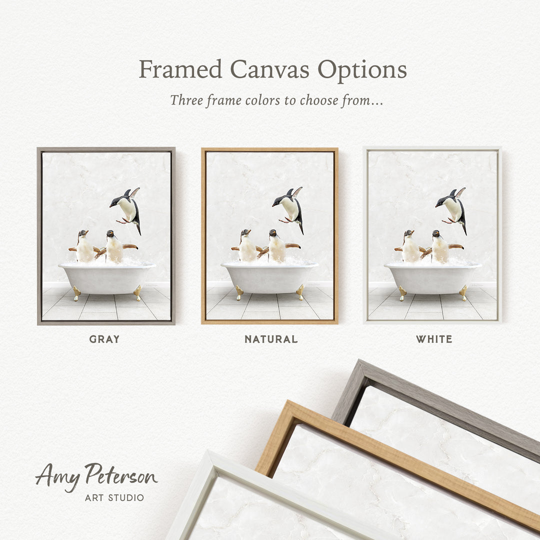three framed canvas options, each featuring a different color: gray, natural, and white. The text above the images reads " Framed Canvas Options" and "Three frame colors to choose from...". The bottom of the image includes the text " Amy Peterson ART STUDIO".