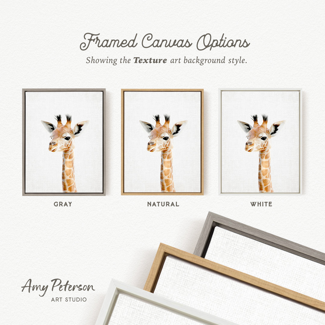 three framed canvas options for a giraffe, each with a different background color: gray, natural, and white.