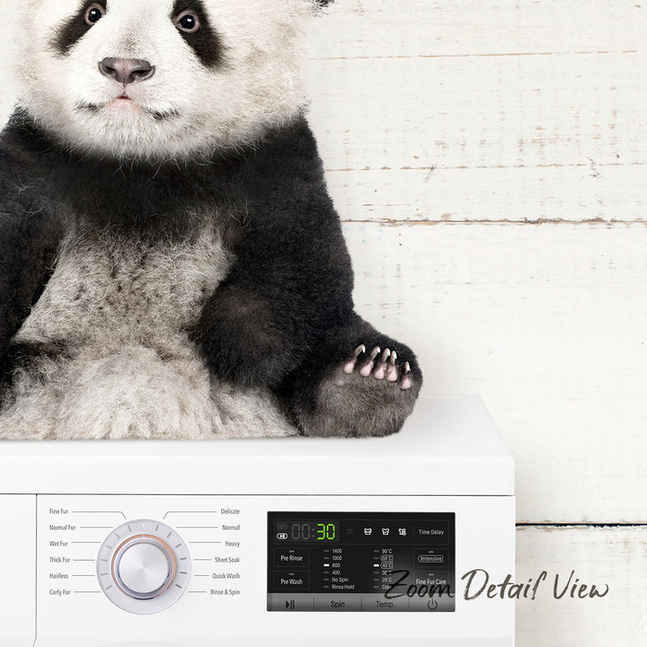 A panda bear sitting on top of a washing machine.