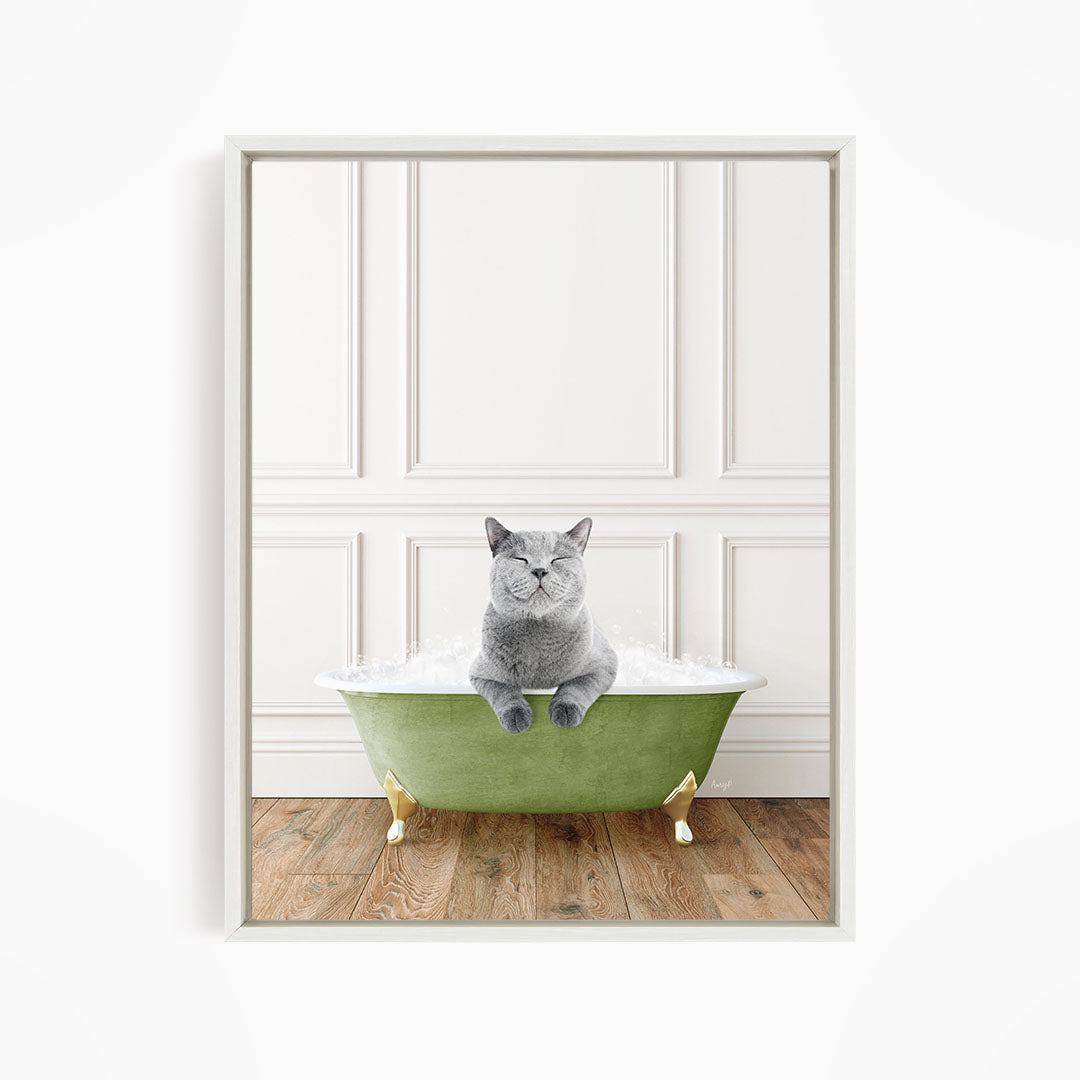 A gray cat sitting in a green bathtub filled with bubbles, with a white wall and wooden floor in the background.