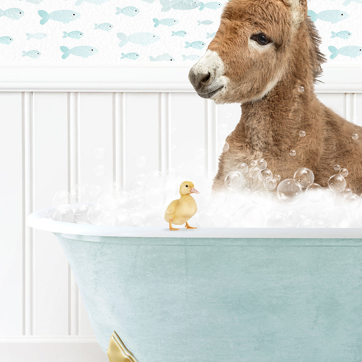 a baby donkey in a bathtub with bubbles and a rubber duck