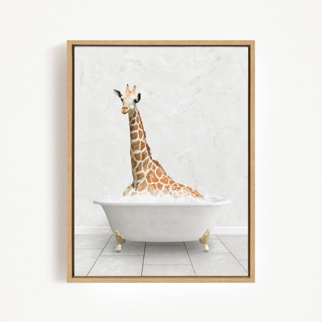 A giraffe sitting in a white bathtub, with its head and neck submerged in the water.