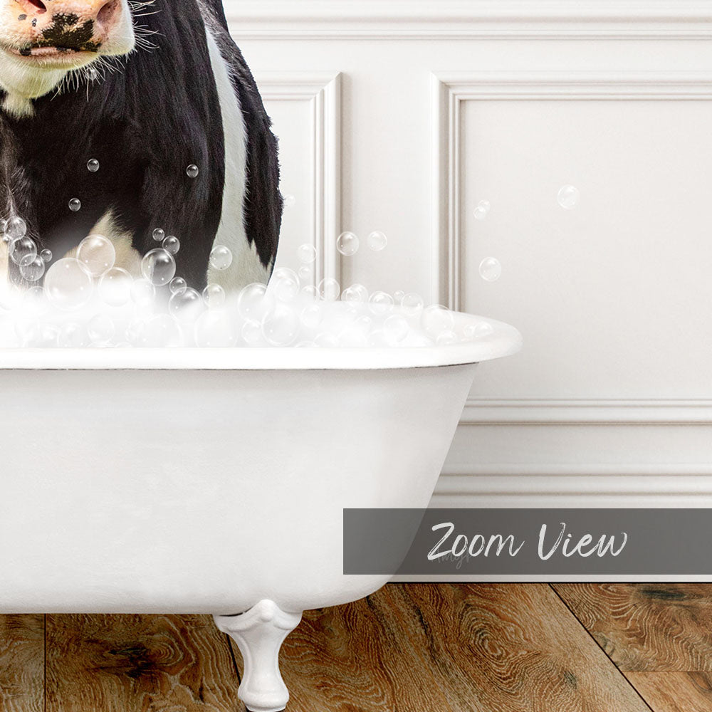 A black and white cow standing in a white bathtub filled with bubbles, with the text "Zoom View" visible.