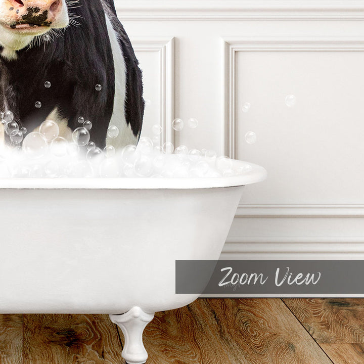 A black and white cow standing in a white bathtub filled with bubbles, with the text "Zoom View" visible.