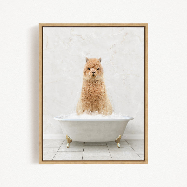 A fluffy brown alpaca sitting in a white bathtub filled with bubbles, looking directly at the camera.