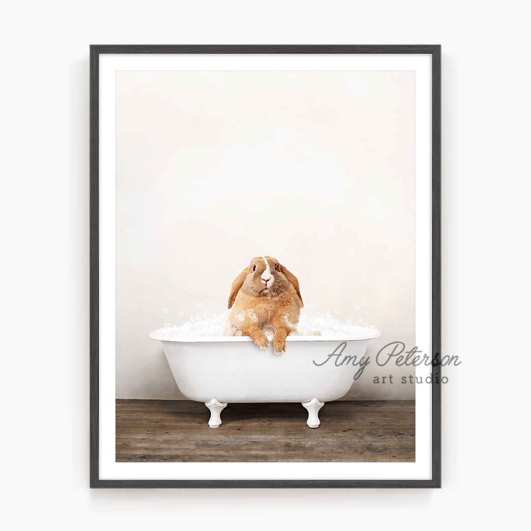 a brown and white dog sitting in a bathtub