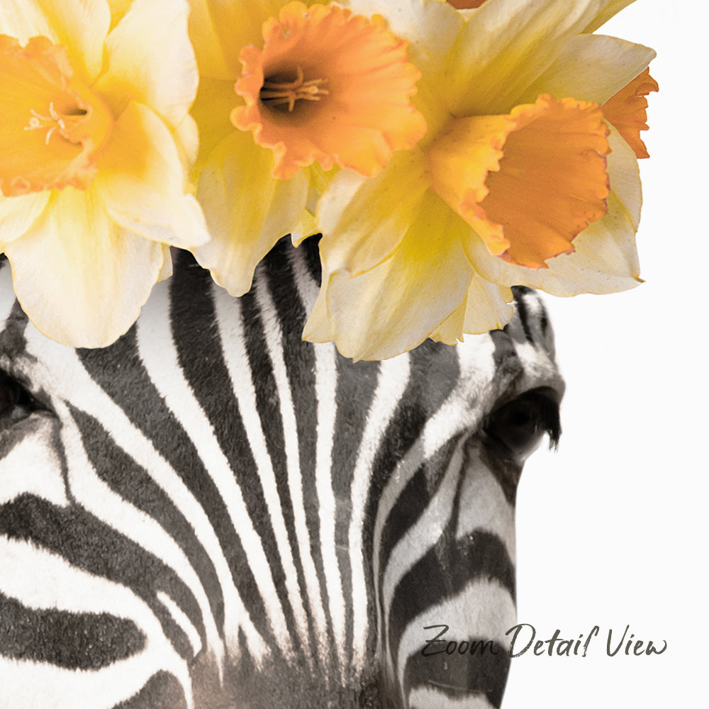 A close-up of a zebra's head, with its distinctive black and white stripes, partially obscured by a bouquet of yellow daffodils.
