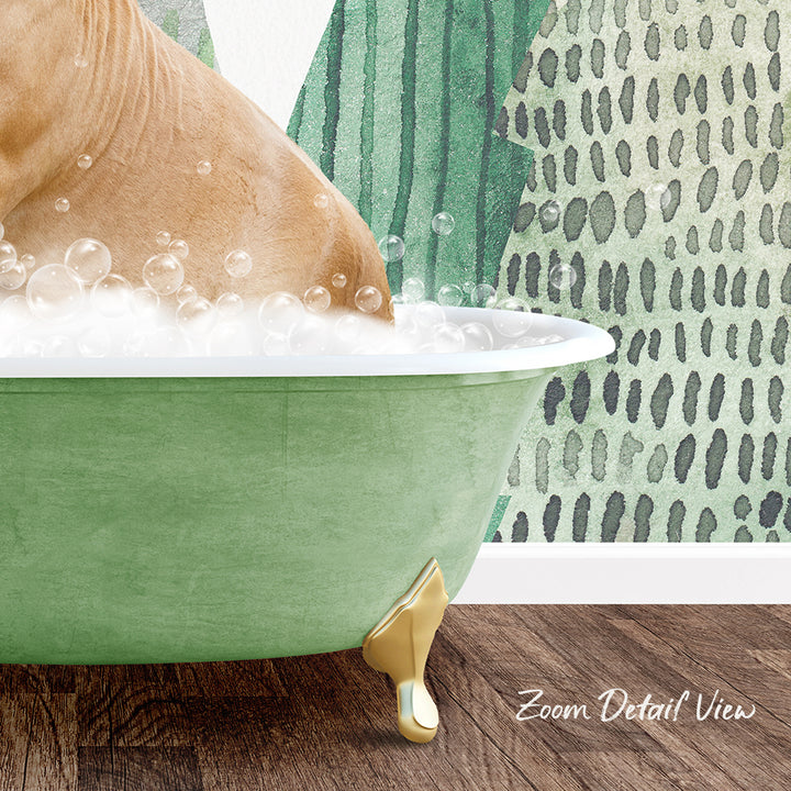 A dog is sitting in a green bathtub filled with bubbles, with a patterned wall in the background.