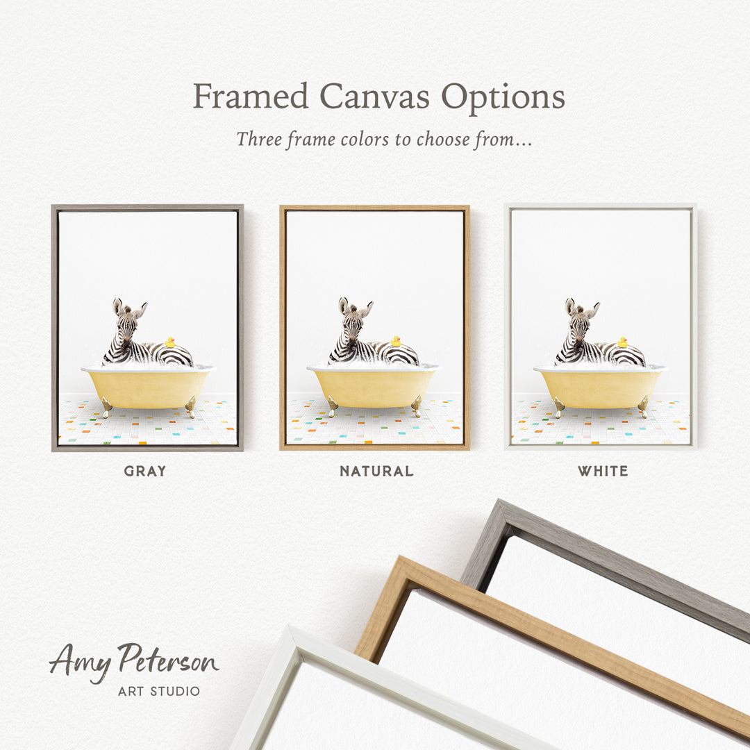 three framed canvas options, each featuring a zebra sitting in a bathtub. The options include a gray frame, a natural frame, and a white frame.