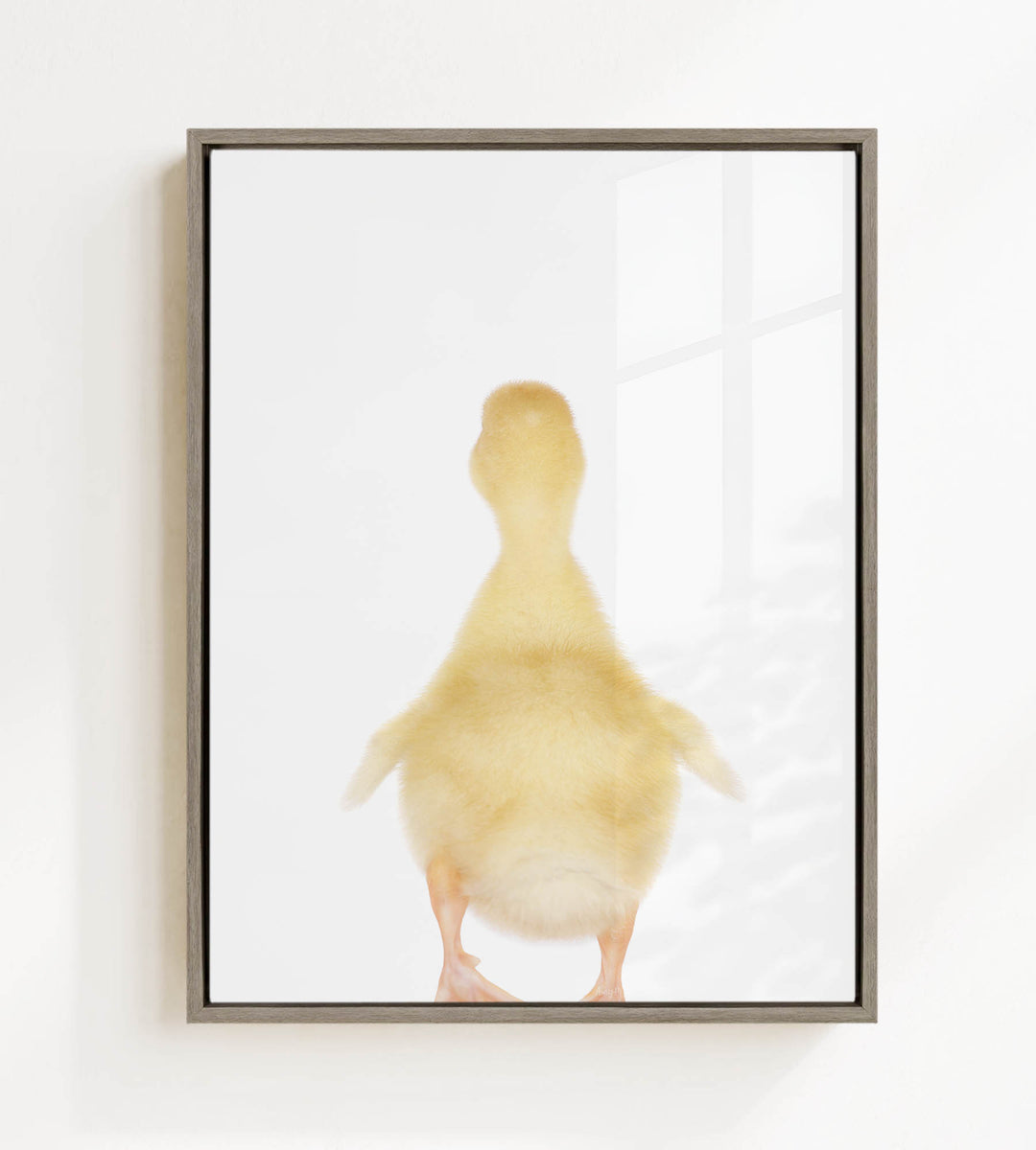 A framed image of a yellow duck standing on one leg against a white background.
