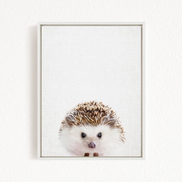 A cute hedgehog peeking out from behind a white frame against a plain background.